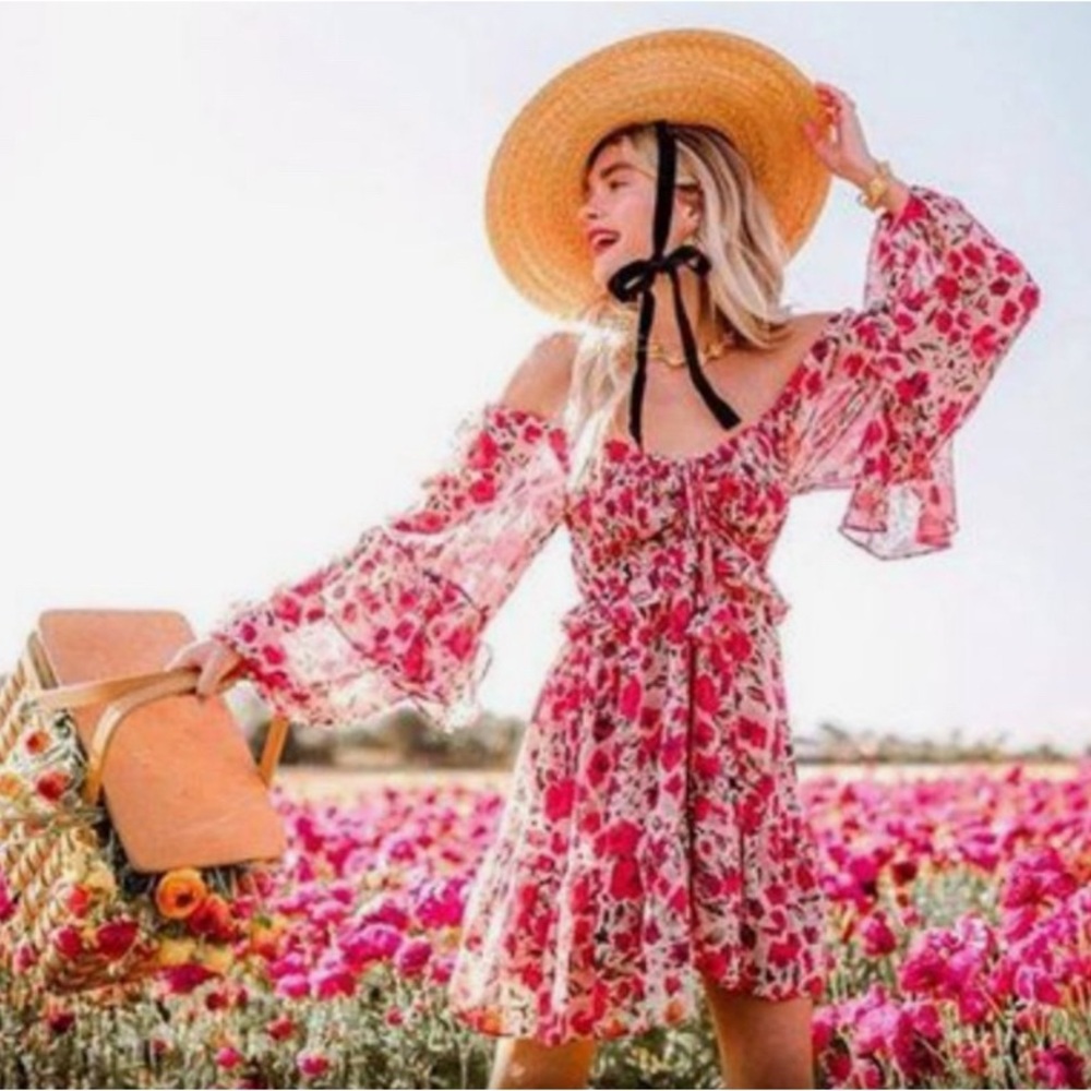 Misa Los Angeles Asra Floral Mini Dress